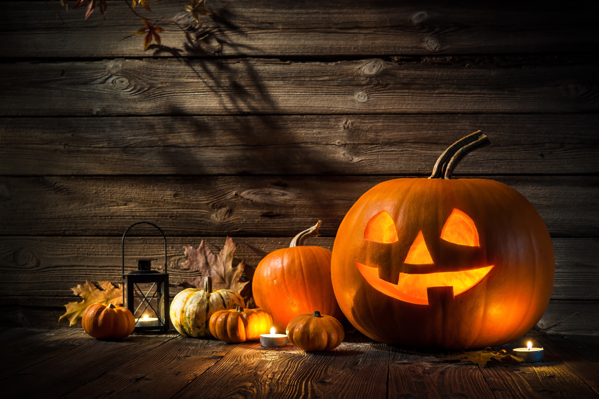 4 Tricks For Treating Yourself To Scare-Free Payer Relationships